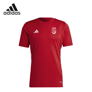 CAMISETA DE ENTRENAMIENTO