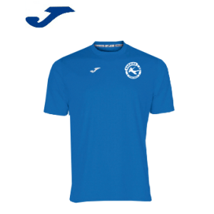 CAMISETA DE ENTRENAMIENTO