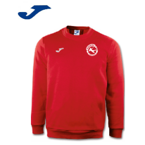 SUDADERA DE ENTRENAMIENTO PORTERO