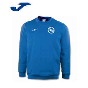 SUDADERA DE ENTRENAMIENTO