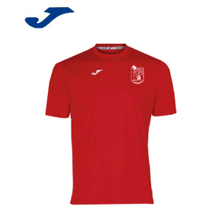 CAMISETA DE ENTRENAMIENTO