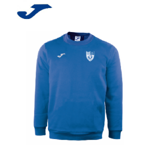 SUDADERA DE ENTRENAMIENTO