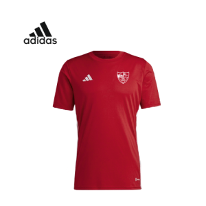 CAMISETA DE ENTRENAMIENTO