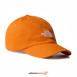 GORRA THE NORTH FACE NORM HAT | BROWN