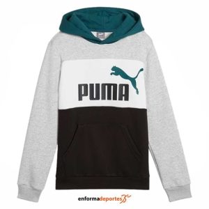 SUDADERA JUNIOR PUMA ESS BLOCK HOODIE FL DESERT DUST | GRAY HEATHER