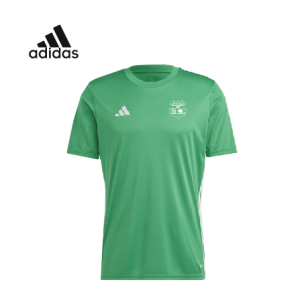 CAMISETA ENTRENO JUGADOR