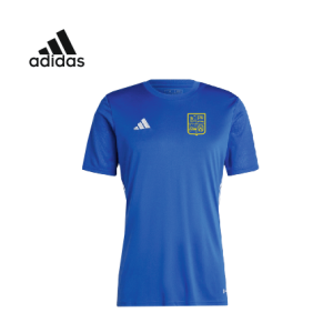 CAMISETA DE ENTRENAMIENTO